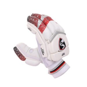 SG CRICKET BATTING GLOVES TEST
