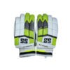 CRICKET BATTING GLOVES | SS