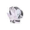 CRICKET BATTING GLOVES | SG