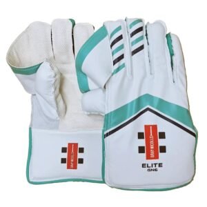 CRICKET WK GLOVES | GN