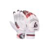 CRICKET BATTING GLOVES | SG