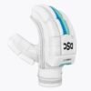 CRICKET BATTING GLOVES | DSC