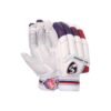 CRICKET BATTING GLOVES | SG