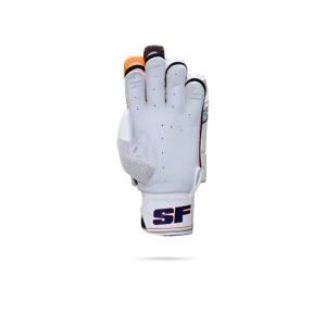 CRICKET BATTING | SF