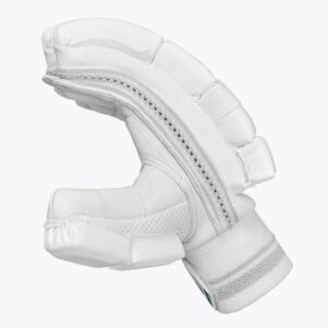 CRICKET BATTING GLOVES | DSC