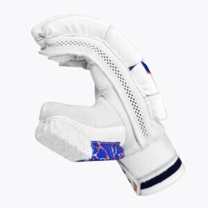 CRICKET BATTING GLOVES | DSC