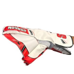 SS CRICKET WK GLOVES