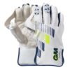 CRICKET WK GLOVES | GM