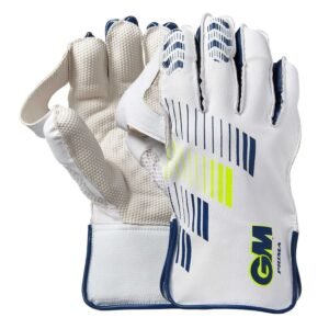 CRICKET WK GLOVES | GM