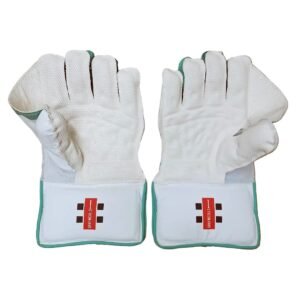 CRICKET WK GLOVES | GN