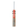 CRICKET BAT | GN