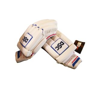 CRICKET BATTING GLOVES | DSC