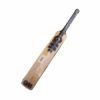 CRICKET BAT | GM