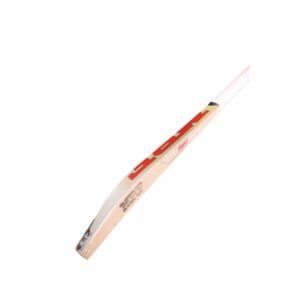 CRICKET BAT | MRF