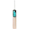 SF BLASTER 7000 ENGLISH WILLOW CRICKET BAT