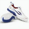 DSC Zooter XT White / Red