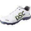 Beamer Cricket Shoes (GREY)